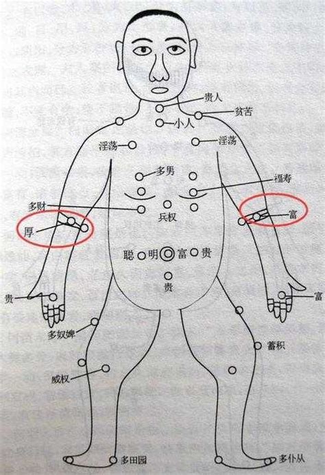 手臂上的痣|從手上的痣看你的好運在哪？上手臂有痣善於 ...